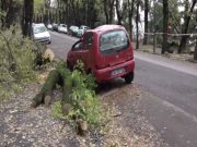 Maltempo, conto dei danni salatissimo: 18 milioni di euro