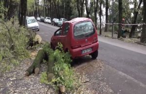 Maltempo, conto dei danni salatissimo: 18 milioni di euro