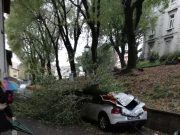 Sant’Eufemia, macchina distrutta da un albero