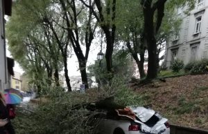 Sant’Eufemia, macchina distrutta da un albero