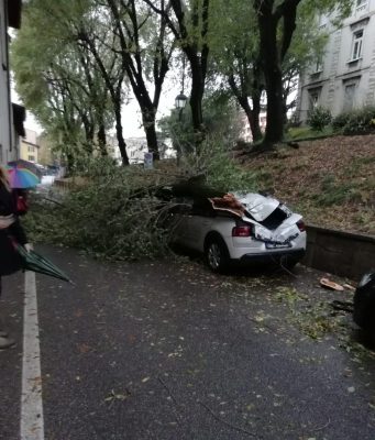 Sant’Eufemia, macchina distrutta da un albero