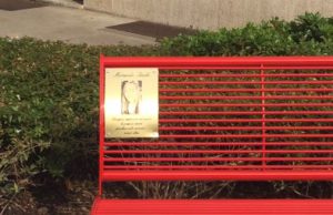 Un mese di “panchine rosse” per Brescia