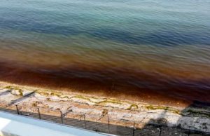 Rivoltella: il lago si tinge di rosso ma è giallo sulle cause