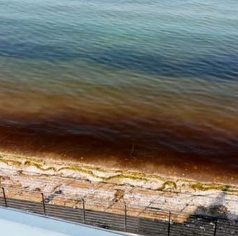 Rivoltella: il lago si tinge di rosso ma è giallo sulle cause