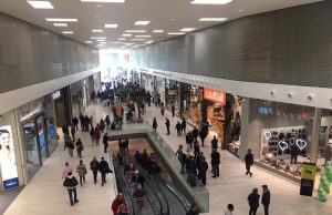 Vuole vedere Cristina D’Avena da vicino, fan sferra un pugno al vigilante