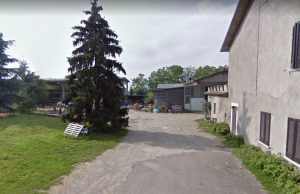 Cade da cavallo, l’animale gli cade addosso: grave un 71enne di Travagliato