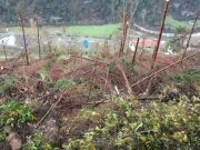 Nessuna tregua del maltempo: in Provincia situazioni ancora critiche