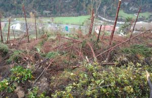 Maltempo, in Valle Camonica la conta dei danni è altissima