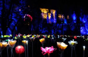 Torna CidneOn: il Festival delle luci pronto a sfondare le 350 mila presenze