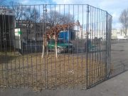 Carabinieri: una giraffa non può vivere a San Polo