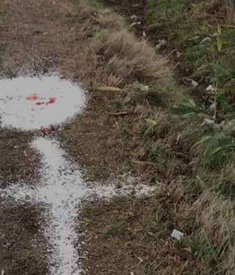 Domani il rimpatrio del pizzaiolo egiziano investito da un’auto