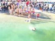 Tuffo delle Befane. In quaranta hanno sfidato le acque gelide del lago