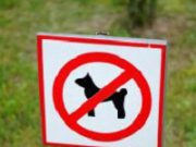 A Gargnano parchi e spiagge vietate ai cani