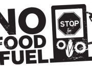 Il consiglio di stato si è espresso: stop temporaneo ai biogas