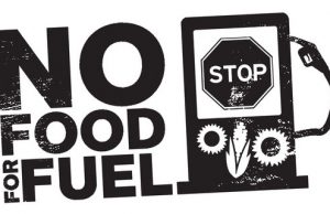 Il consiglio di stato si è espresso: stop temporaneo ai biogas