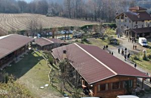 Maltrattamenti a Shalom, ribaltato il verdetto di primo grado