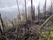 Bagolino: la rinascita dopo il maltempo passa dal Ministero e Regione