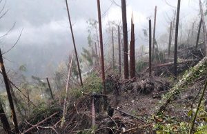 Bagolino: la rinascita dopo il maltempo passa dal Ministero e Regione