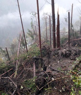 Bagolino: la rinascita dopo il maltempo passa dal Ministero e Regione
