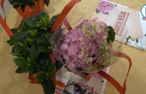 “Benvenuta Gardensia”, AISM in oltre 90 piazze di Brescia e provincia