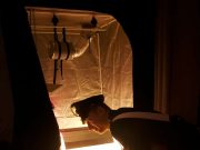 Serra di marijuana e armi in casa: arrestato 46 enne di Breno