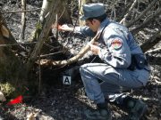 Incendi boschivi, 6 persone denunciate da inizio anno
