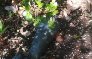 Ghedi, trovata la mano asportata dal monumento: era in un cespuglio