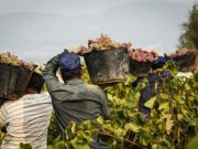 Caso di “caporalato” sul Garda, tre persone indagate