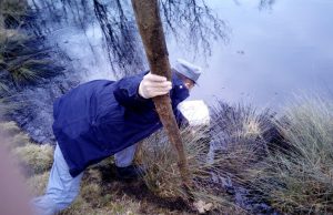 Sversò olio nello stagno “Meder” a Serle: indagato 50enne della zona