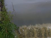 San Paolo, schiuma bianca nella Cesaresca