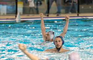 La Caf non cambia la sentenza: AN Brescia prima in regular season