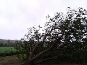 Maltempo, emergenza in tutto il basso Garda. “Non andate a Lonato e Desenzano”