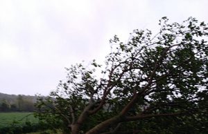 Maltempo, emergenza in tutto il basso Garda. “Non andate a Lonato e Desenzano”