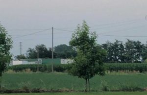 Si getta nella piscina e annega: muore Said, ragazzo marocchino di 18 anni