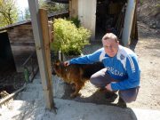 Muore travolto da un Tir sulla A31: addio a Daniele Albertinelli