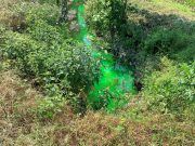 Orzinuovi, acqua del fosso verde “fluo”: “Nessun danno all’ambiente”