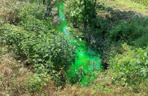 Orzinuovi, acqua del fosso verde “fluo”: “Nessun danno all’ambiente”