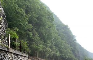 Maltempo: Fontana ha formalizzato la richiesta di “stato d’emergenza”