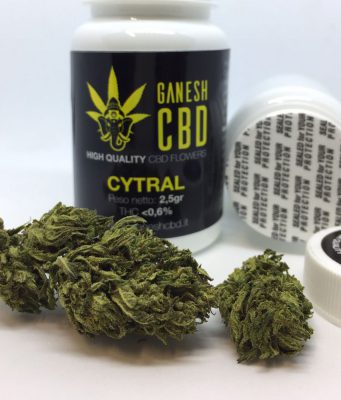 Cannabis light, arriva lettera dal Viminale: “Più controlli”