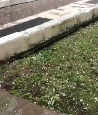 Maltempo e grandine nel pomeriggio, ma dovrebbe tornare il bel tempo