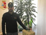 Hashish nelle patatine: due ragazzi bresciani denunciati al porto di Livorno