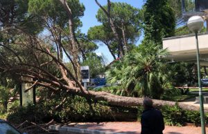 Maltempo sul Garda, notte di lavoro per i Vigili del Fuoco