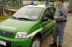 Disboscamenti illegali in Valsabbia, tre denunce e sanzioni per 150mila euro