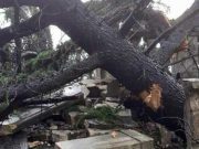 Rudiano, il sindaco Bonetti: “Abbiamo il paese distrutto”