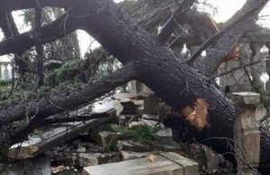 Rudiano, il sindaco Bonetti: “Abbiamo il paese distrutto”