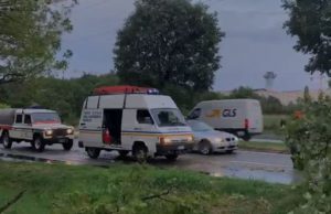 San Polo, forti danni con alberi sradicati e in mezzo alle strade