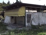 Vivaio abbandonato in via Volturno, arriva l’ordinanza di sgombero