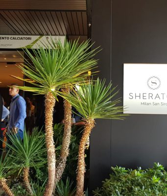 Brescia calcio, si studia il colpo last minute in difesa