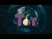 “Berlusconi Market”, “Deep web” e “Tor” tra i trend topic su Google