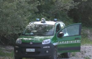 Mucche maltrattate e blatte nelle cisterne del latte. Allevamento sequestrato